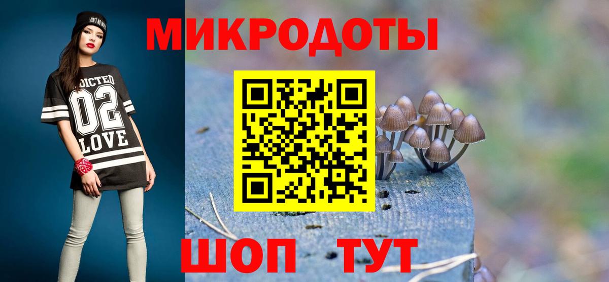 Отрадный  Псилоцибиновые грибы Psilocybine cubensis  Галлюциногенные грибы мицелий  Вход с VPN 