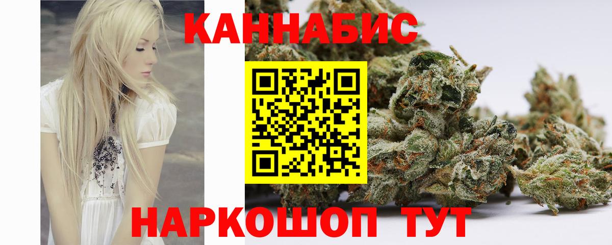 Канабис сатива Отрадный